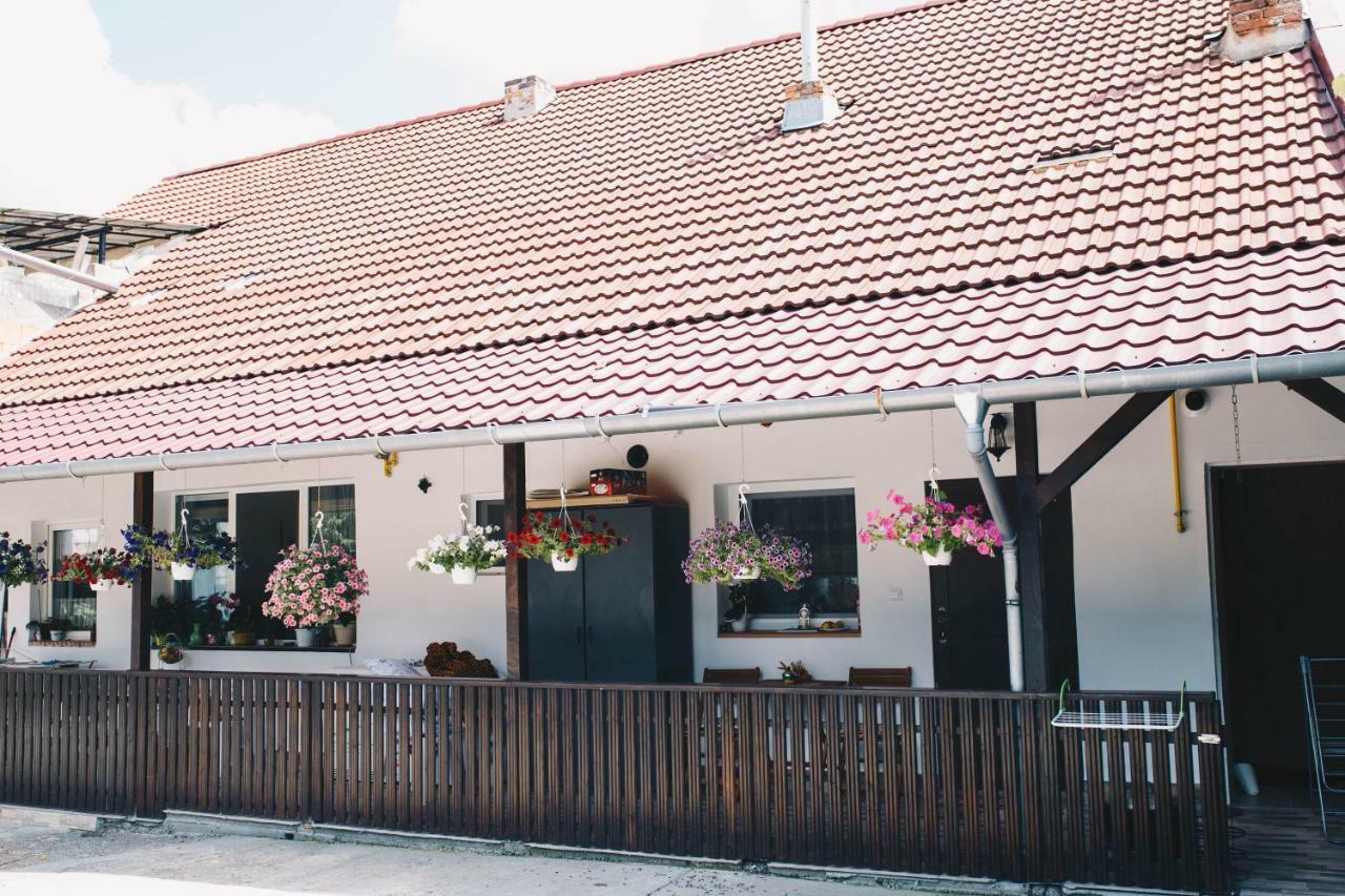 Paulaapartment&Rooms Oradea Exterior photo